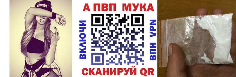МЕФ Кашира