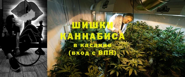 шишки Иннополис