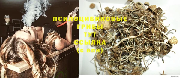 шишки Иннополис