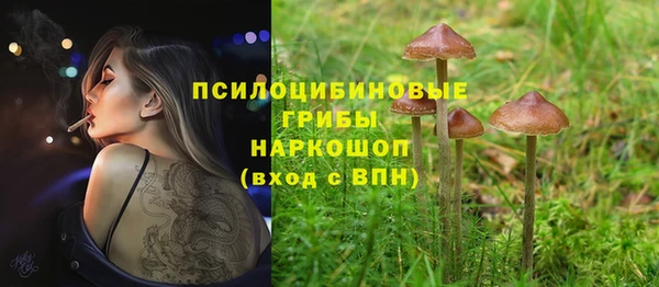 не бодяженный Инта