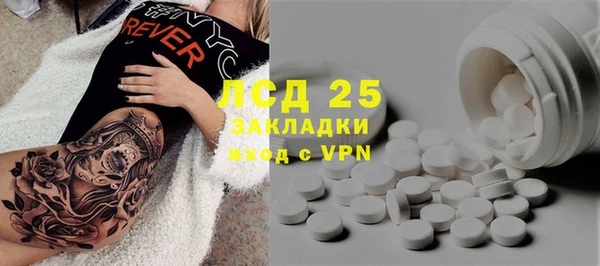 шишки Иннополис